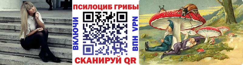 Псилоцибиновые грибы Magic Shrooms  Купить закладки  Алексин 
