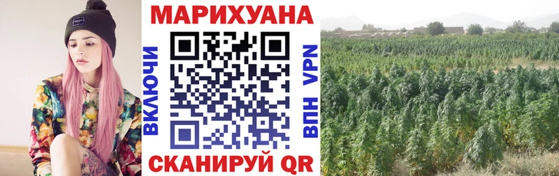 Купить Алексин Канабис White Widow